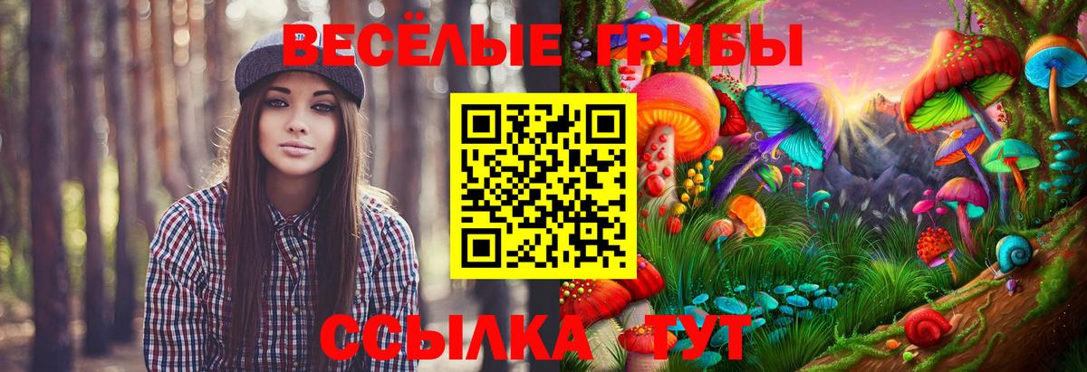Псилоцибиновые грибы мухоморы Домодедово